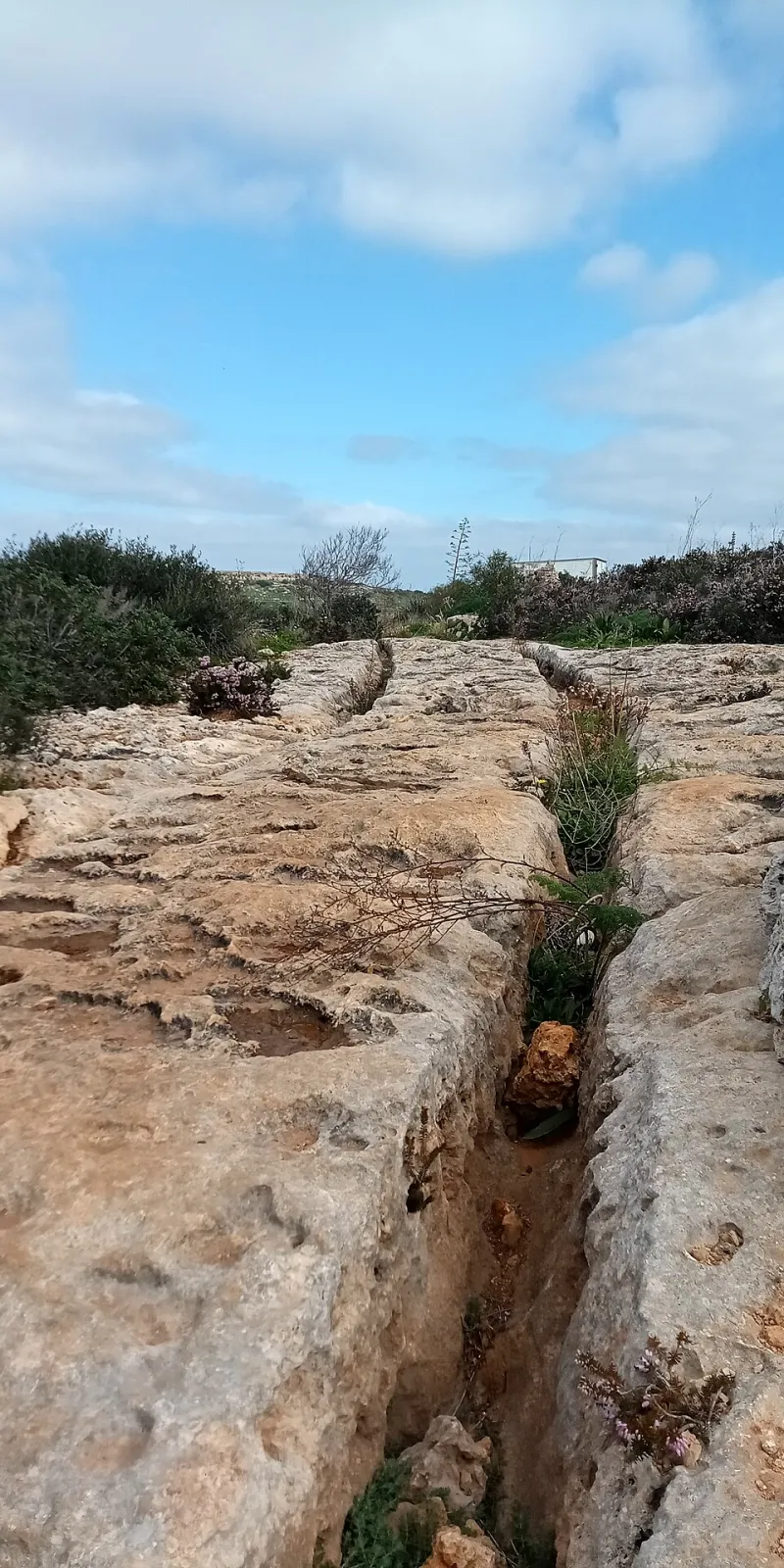 Sulle Strade dell'Anima: Escursioni e Percorsi Spirituali nei Dintorni di San Giorgio