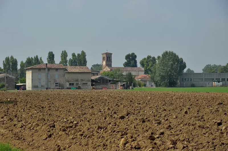 Feste, Sapori e Piazze Vive: Gli Appuntamenti dell'Anno a San Giorgio